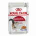 Royal Canin Instinctive Корм влажный для взрослых кошек, желе. Вес: 85 г