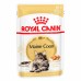 Royal Canin Maine Coon Adult Корм влажный для взрослых кошек породы Мэйн Кун, соус. Вес: 85 г