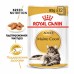 Royal Canin Maine Coon Adult Корм влажный для взрослых кошек породы Мэйн Кун, соус. Вес: 85 г
