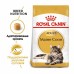 Royal Canin Maine Coon Adult Корм сухой сбалансированный для взрослых кошек породы Мэйн Кун. Вес: 400 г