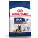 Royal Canin Maxi Ageing 8+ Корм сухой для стареющих собак крупных размеров от 8 лет и старше. Вес: 3 кг