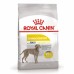 Royal Canin Maxi Dermacomfort Корм сухой для взрослых собак крупных размеров при раздражениях и зуде кожи. Вес: 3 кг