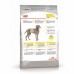 Royal Canin Maxi Dermacomfort Корм сухой для взрослых собак крупных размеров при раздражениях и зуде кожи. Вес: 3 кг