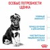 Royal Canin Maxi Puppy Корм сухой для щенков крупных размеров в возрасте до 15 месяцев. Вес: 3 кг