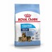 Royal Canin Maxi Starter Корм для щенков крупных размеров до 2-х месяцев, беременных и кормящих сук. Вес: 4 кг