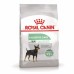 Royal Canin Mini Digestive Care Корм сухой для взрослых собак мелких размеров с чувствительным пищеварением. Вес: 1 кг