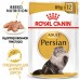 Royal Canin Persian Корм влажный для взрослых персидских кошек от 12 месяцев (паштет). Вес: 85 г