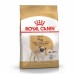 Royal Canin Pug Adult Корм сухой для взрослых собак породы Мопс от 10 месяцев. Вес: 500 г