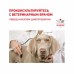 Royal Canin Recovery Корм влажный диетический для взрослых собак и кошек при анорексии и в период восстановления. Вес: 195 г