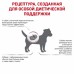 Royal Canin Renal Small Dog Корм сухой диетический для взрослых собак весом до 10 кг с хронической болезнью почек. Вес: 3,5 кг