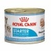 Royal Canin Starter Mousse Dog Can Корм влажный для беременных и кормящих собак,и щенков до 2-х месяцев. Вес: 195 г