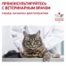 Royal Canin Urinary S/O LP 34 Feline Корм сухой диетический для взрослых кошек при мочекаменной болезни. Вес: 400 г