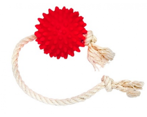 Зооник Мяч на веревке, ф 6 см красный