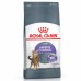 Royal Canin Appetite Control Care Корм сухой для взрослых кошек - для контроля выпрашивания корма. Вес: 400 г