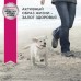 Eukanuba Dog Puppy & Junior Lamb&Rice для щенков всех пород с ягненком и рисом. Вес: 2,5 кг