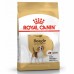 Royal Canin Beagle Adult Корм сухой для взрослых и стареющих собак породы Бигль от 12 месяцев. Вес: 3 кг