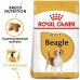 Royal Canin Beagle Adult Корм сухой для взрослых и стареющих собак породы Бигль от 12 месяцев. Вес: 3 кг
