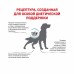 Royal Canin Anallergenic AN 18 Canine Корм сухой диетический для взрослых соба при пищевой аллергии. Вес: 3 кг