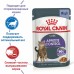 Royal Canin Appetite Control Care Корм влажный для взрослых кошек - для контроля выпрашивания корма, в желе. Вес: 85г