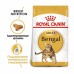 Royal Canin Bengal Adult Корм сухой сбалансированный для взрослых бенгальских кошек от 12 месяцев. Вес: 400 г