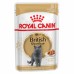 Royal Canin British Shorthair Adult Корм влажный для взрослых британских короткошерстных кошек, соус. Вес: 85 г