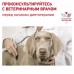 Royal Canin Cardiac Canine Корм влажный диетический для взрослых собак для поддержания функции сердца. Вес: 410 г