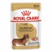 Royal Canin Dashshund Adult Корм влажный для взрослых собак породы Такса старше 10 месяцев в паштете. Вес: 85 г