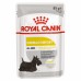 Royal Canin Dermacomfort Canine Adult Корм влажный для взрослых собак с повышенной чувствительностью кожи. Вес: 85 г