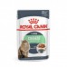 Royal Canin Digest Sensitive Корм влажный для взрослых кошек (мелкие кусочки в соусе). Вес: 85 г