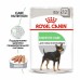 Royal Canin Digestive Care Canin Adult Корм влажный для взрослых собак с чувствительным пищеварением. Вес: 85 г