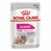 Royal Canin Exigent Canin Adult Корм влажный для взрослых собак, привередливых в питании. Вес: 85 г