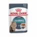 Royal Canin Hairball Care Корм влажный для взрослых кошек в соусе для профилактики образования волосяных комочков. Вес: 85 г