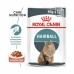 Royal Canin Hairball Care Корм влажный для взрослых кошек в соусе для профилактики образования волосяных комочков. Вес: 85 г