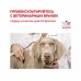 Royal Canin Hepatic HF 16 Canine Корм сухой диетический для собак, предназначенный для поддержания функции печени. Вес: 1,5 кг