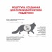 Royal Canin Hepatic HF 26 Feline Корм сухой диетический для кошек для поддержания функции печени. Вес: 500 г
