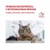 Royal Canin Hypoallergenic DR 25 Feline Корм сухой диетический для взрослых кошек при пищевой аллергии. Вес: 500 г