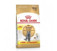 Акция 400+400г ROYAL CANIN British Shorthair корм для кошек породы Британская короткошерстная, а также для кошек породы Скоттиш-фолд с 1 года (РОЯЛ КАНИН ФБН Британская короткошерстная)